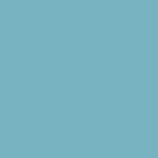 Vintage Paint Bluestone