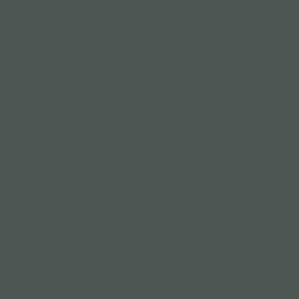 Vintage Paint Peppercorn