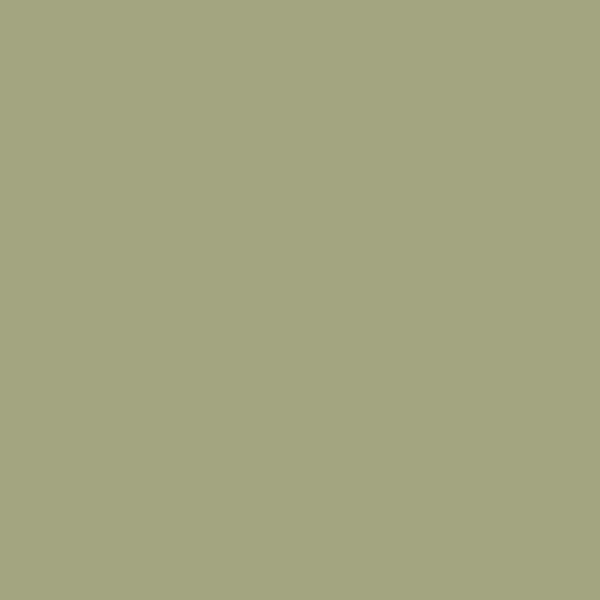 Vintage Paint River Rock