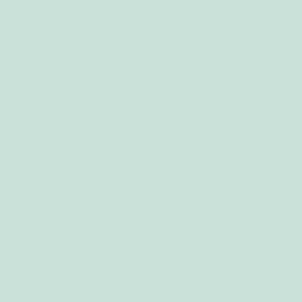 Vintage Paint Robins Egg