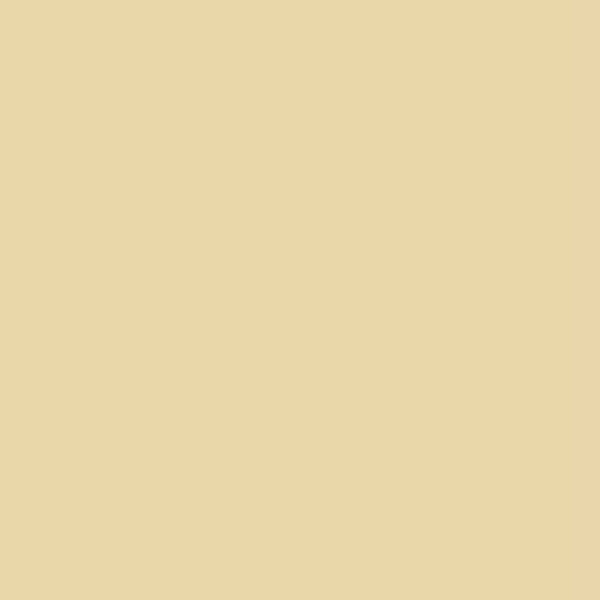 Vintage Paint Vintage Cream